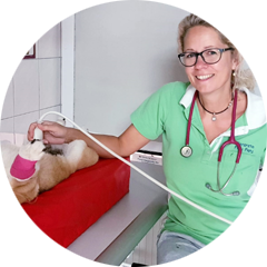 Leistungen Tierarztpaxis Ultraschall